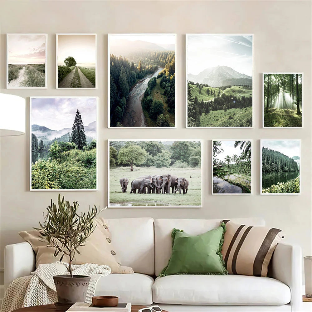 Green Forest & Nature Wall Prints